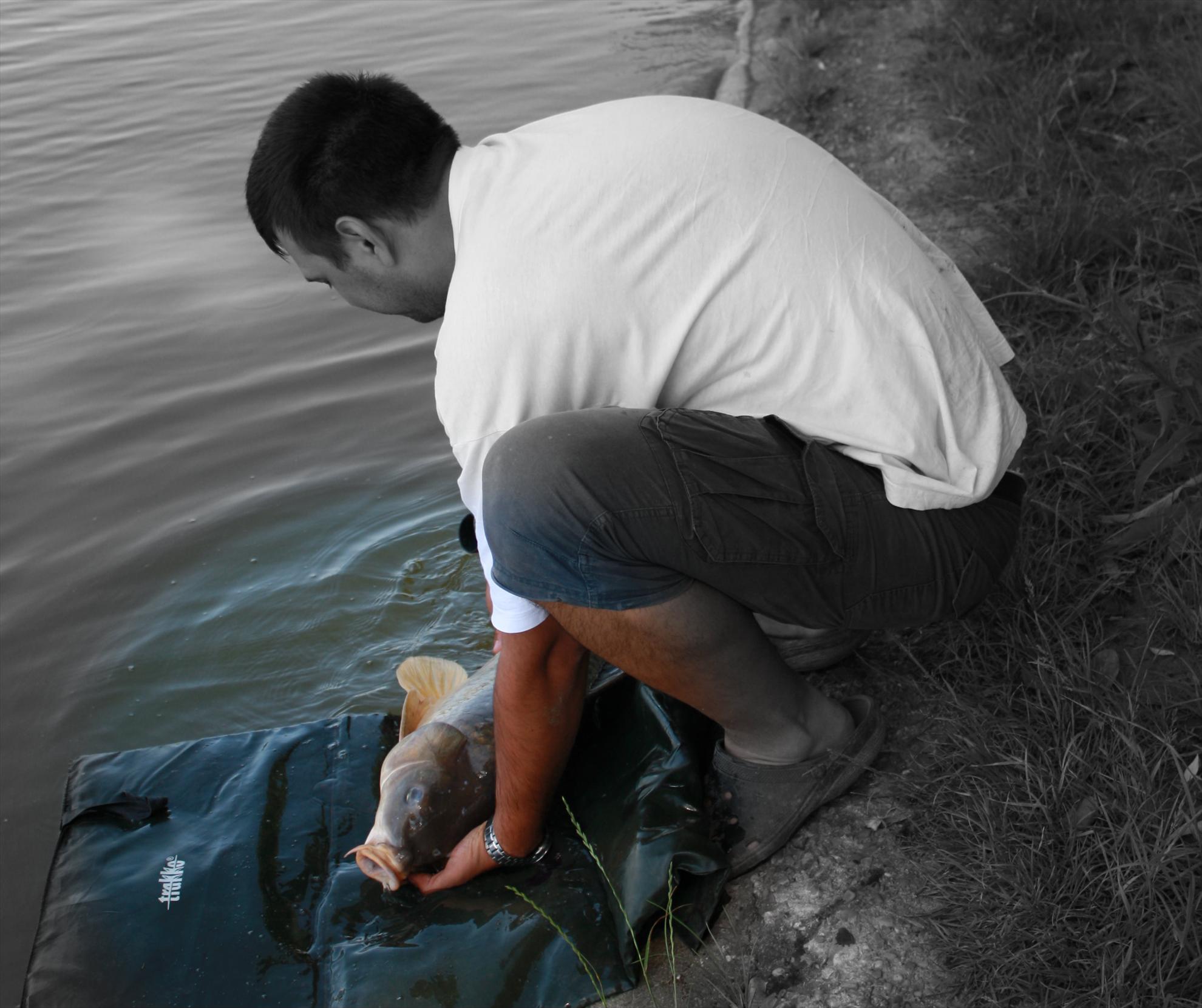 Poze reusite si nereusite - test-9.jpg